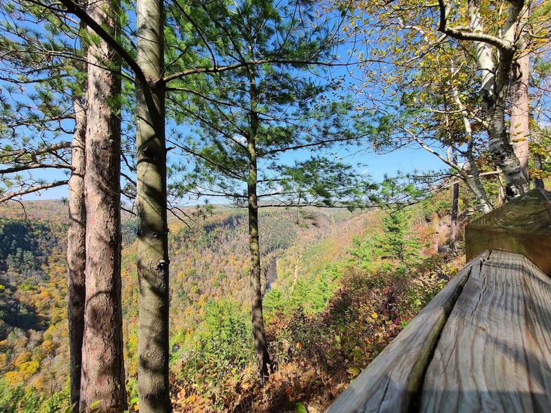 Multi-Level Viewing Decks