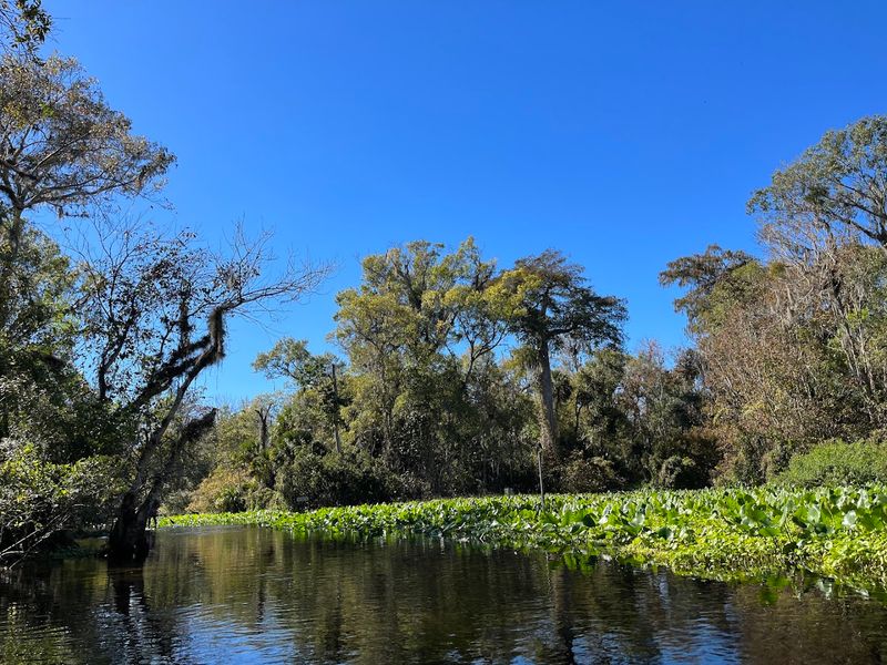 Rock Springs Run State Reserve