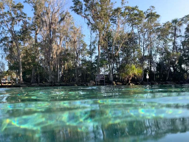 Crystal River / Kings Bay