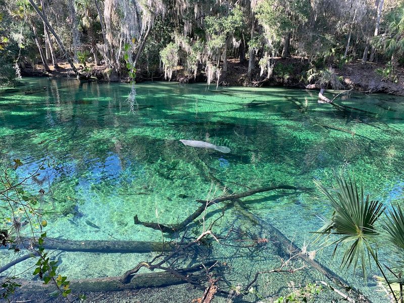Blue Spring State Park 