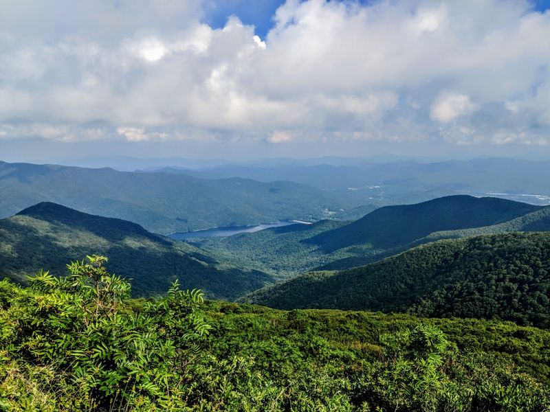 Blue Ridge Parkway Drives