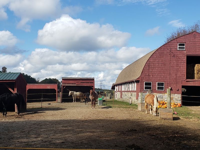 Break Away Farms 