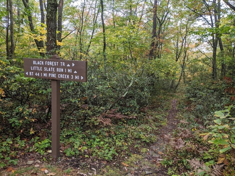 Black Forest Trail