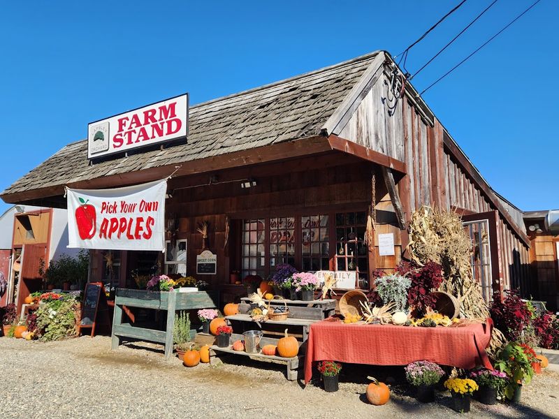 Lapsley Orchard (Pomfret Center)