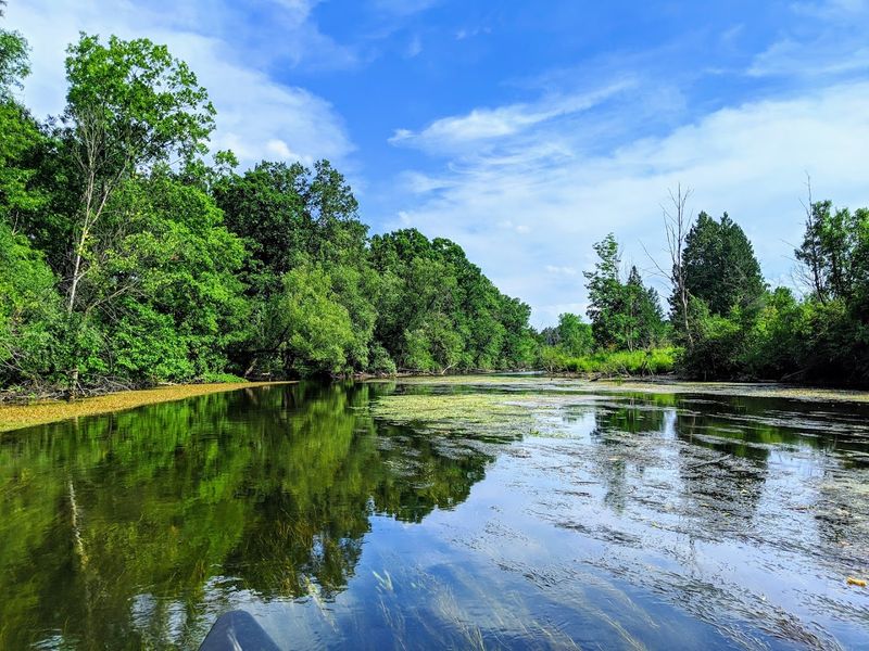 Kensington Metropark
