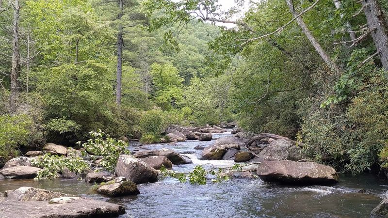 Gorges State Park