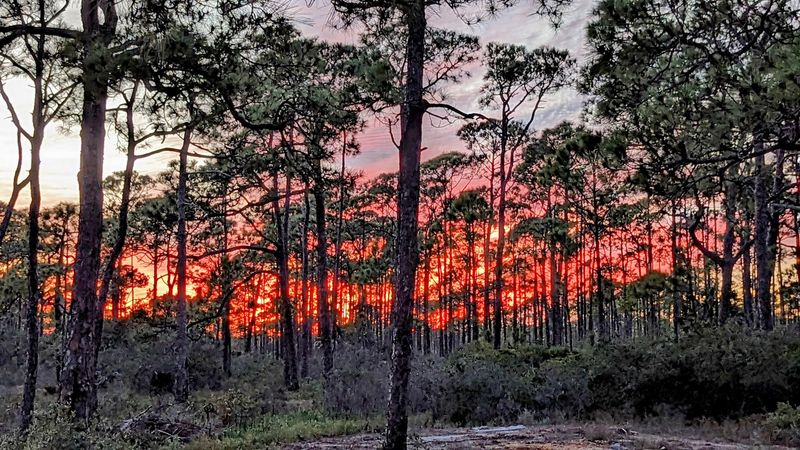 St. George Island State Park