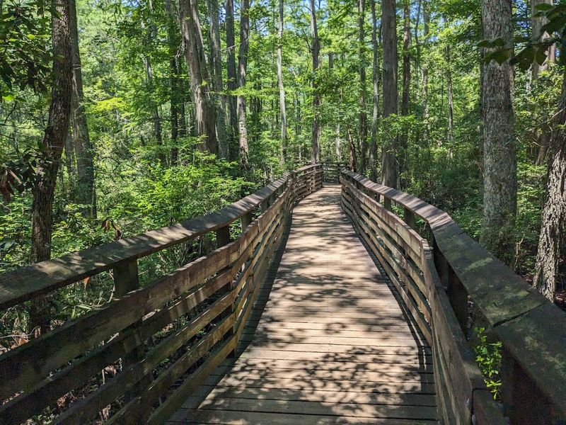 First Landing State Park