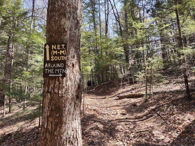 Mount Grace State Forest Trails 