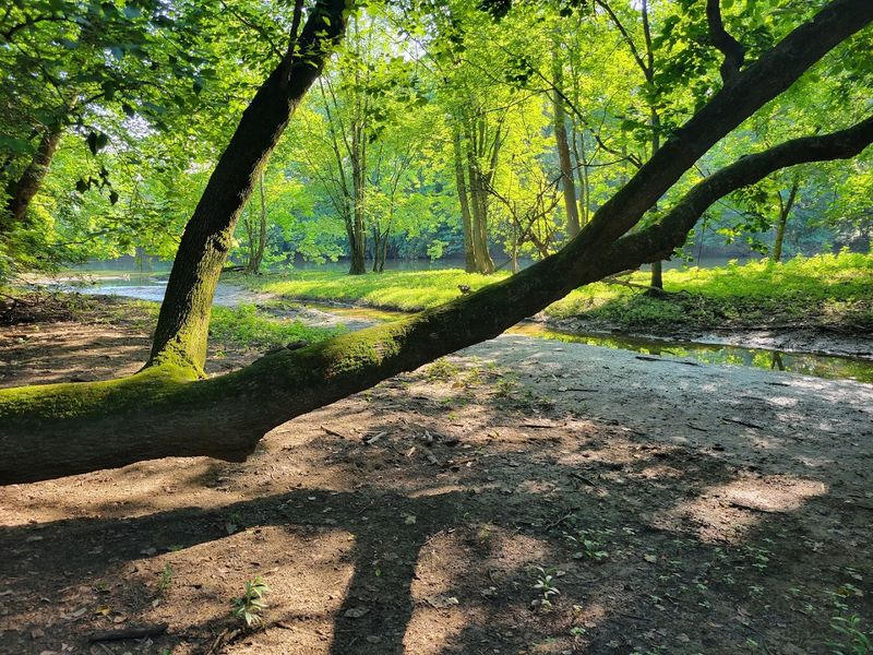 Olentangy Trail - Columbus, Franklin County