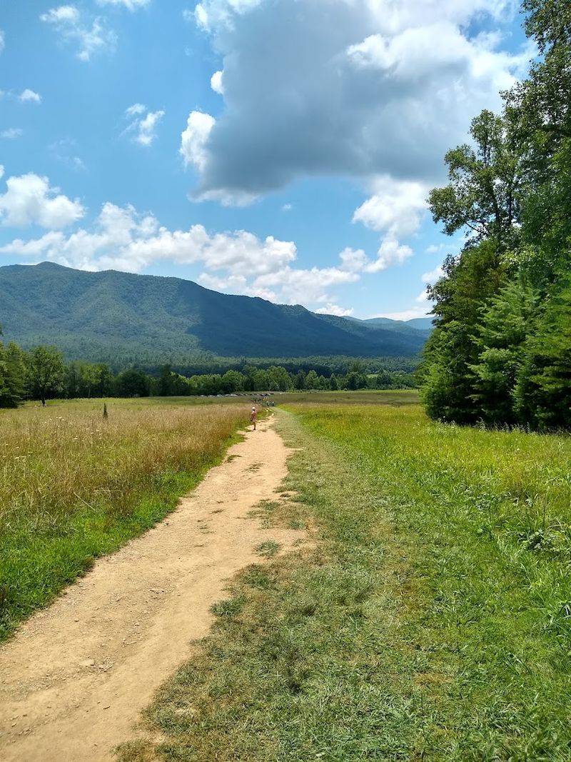 Cades Cove Loop