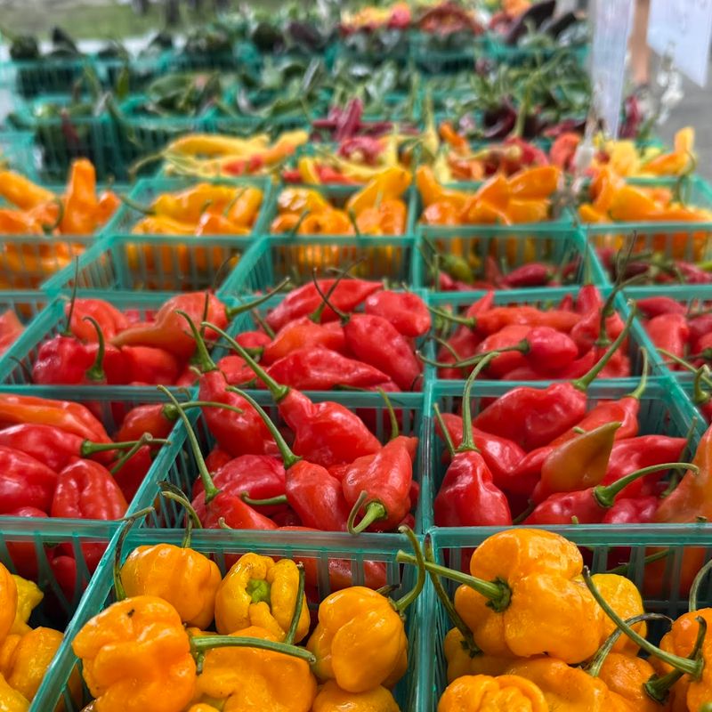 Forsyth Farmers’ Market