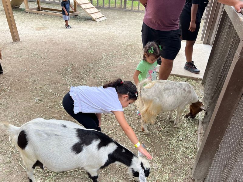 Pinto's Farm (Miami)