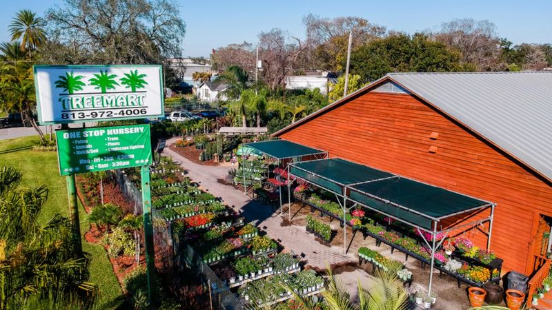 Treemart, Inc.