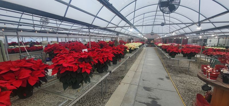 Boyert&rsquo;s Greenhouse & Farm