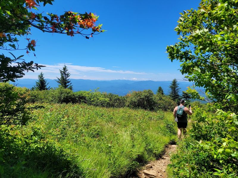 Andrews Bald Trail