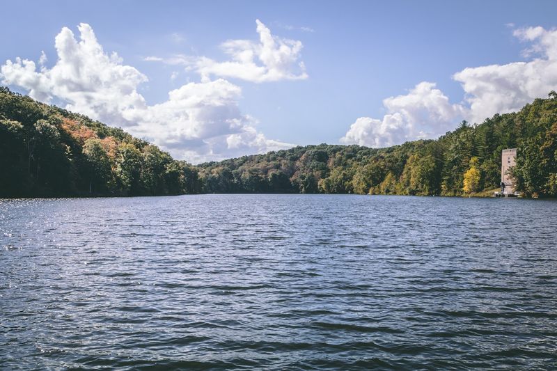 Burr Oak Lake