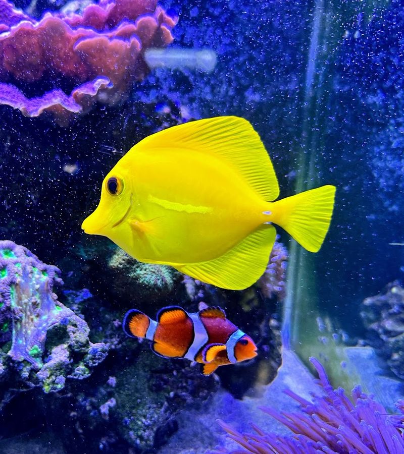 St. Lucie County Aquarium