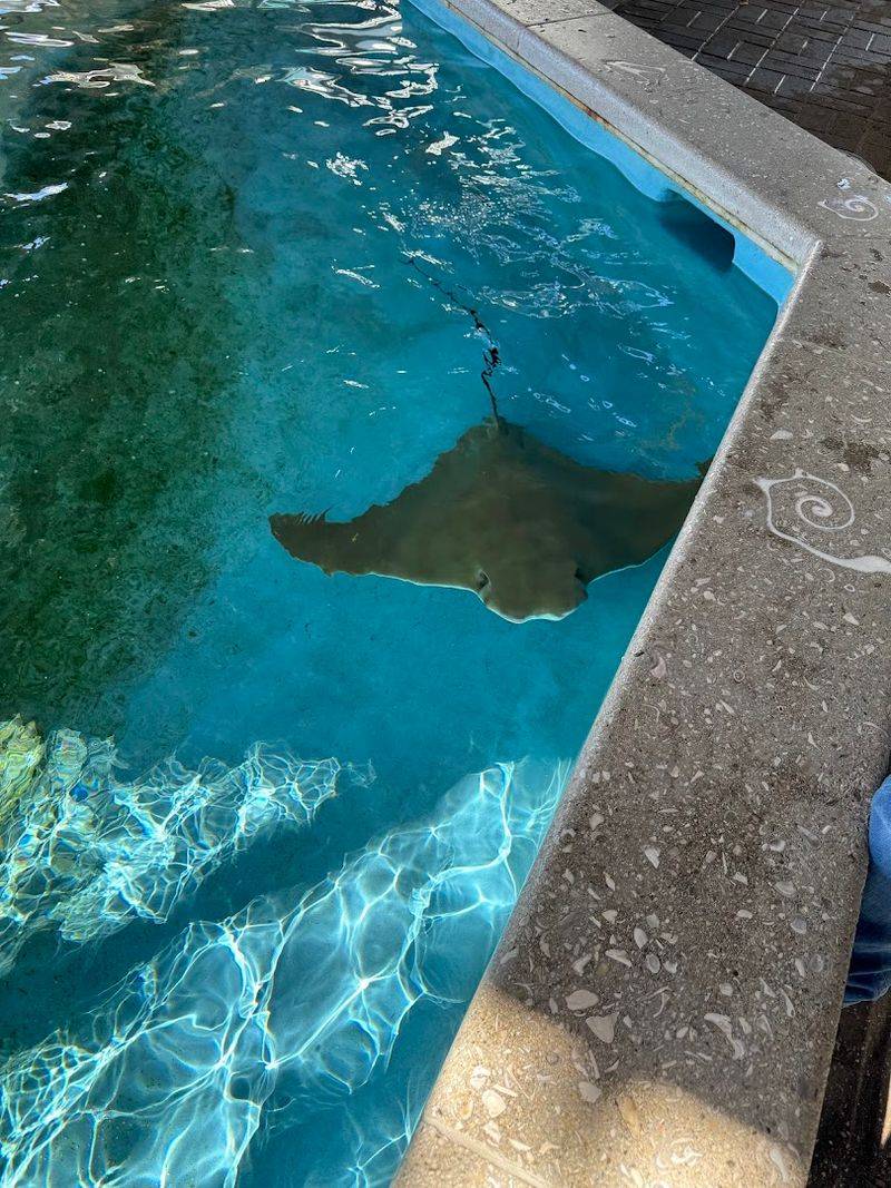 Florida Oceanographic Coastal Center