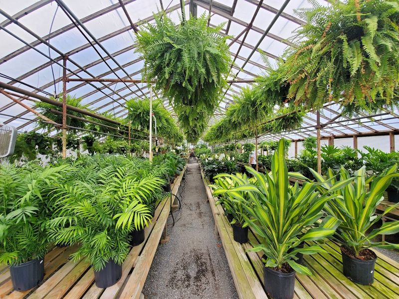 Oakdale Greenhouses