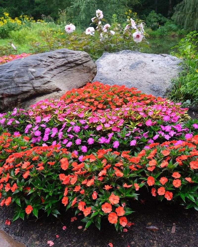 Edith J. Carrier Arboretum (Harrisonburg)