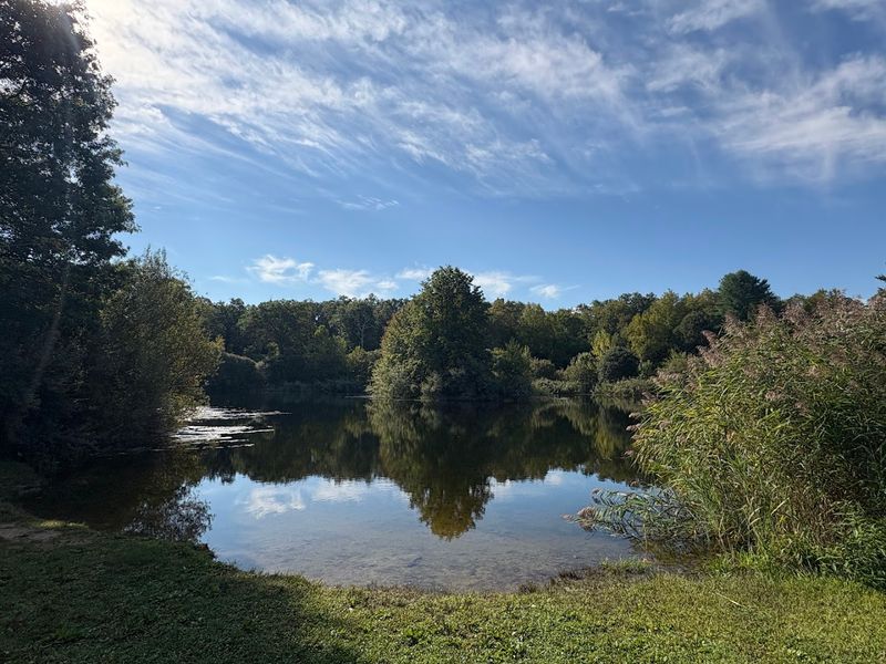 Machimoodus State Forest 