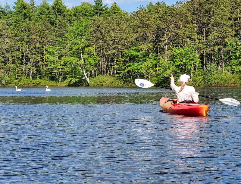 Myles Standish State Forest Adventure Trails