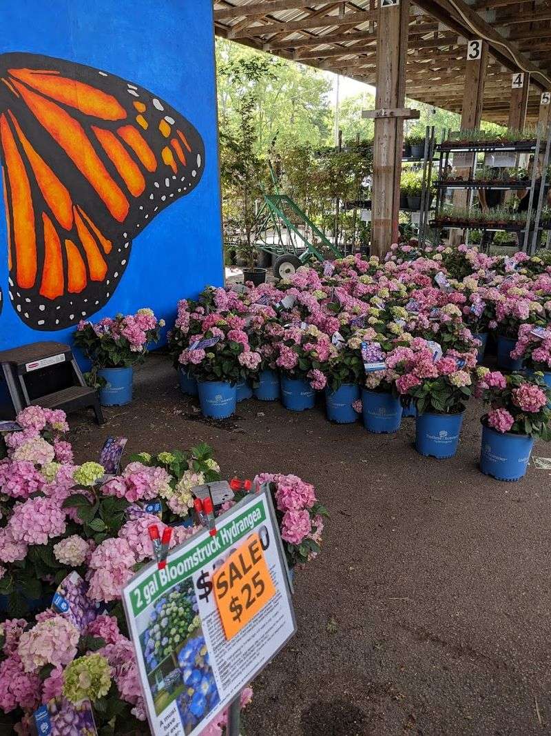 Grower's Outlet