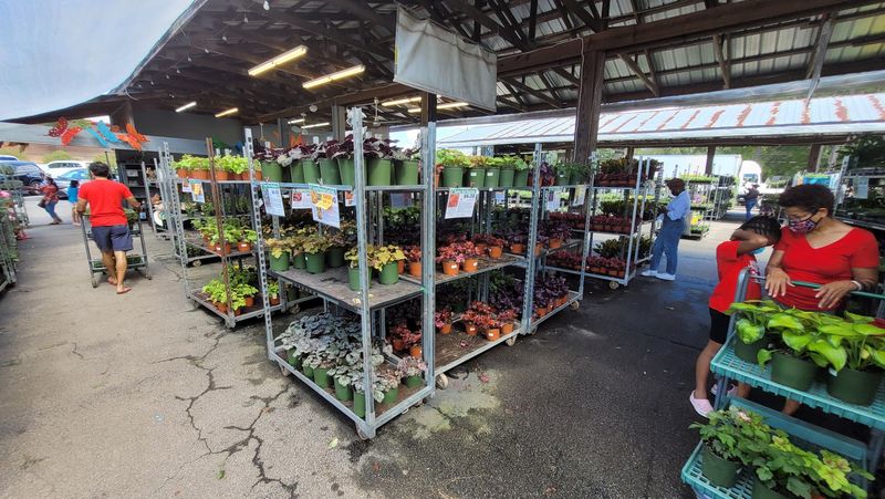 Growers Outlet