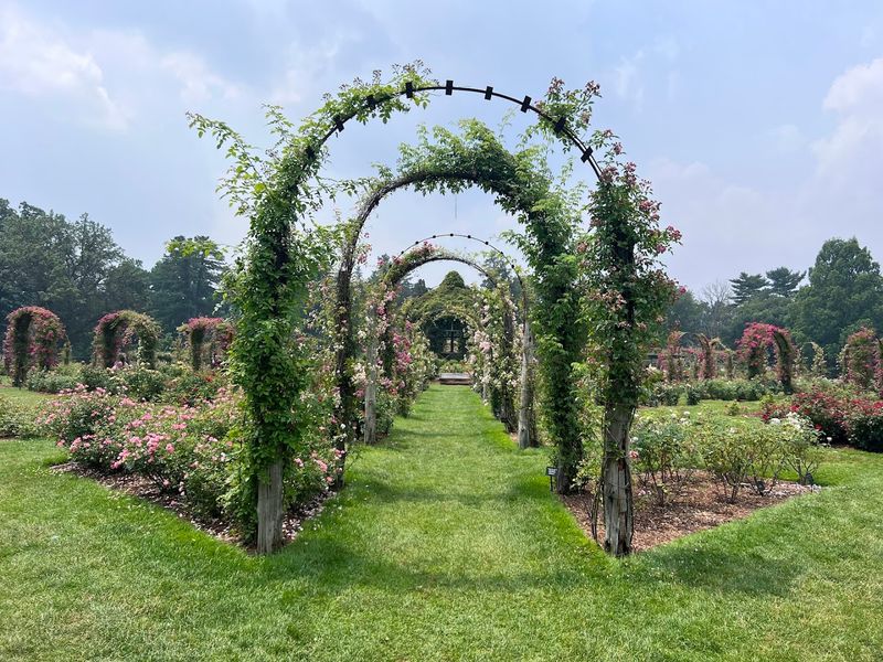 Elizabeth Park