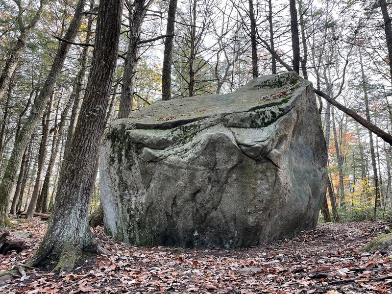 Peoples State Forest, Barkhamsted, Litchfield County