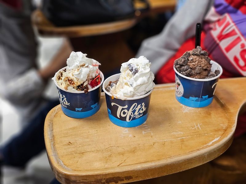 Toft&rsquo;s Ice Cream