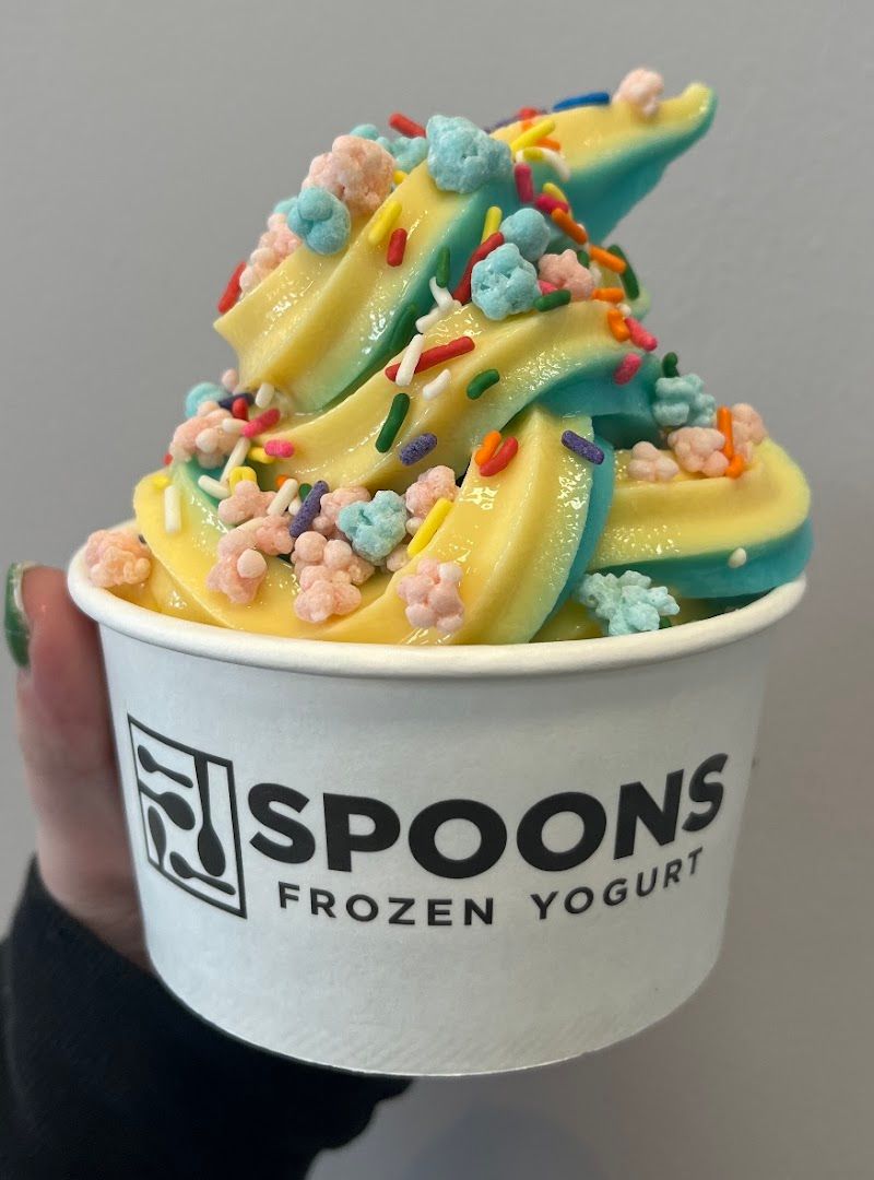 Spoons Frozen Yogurt – Roanoke