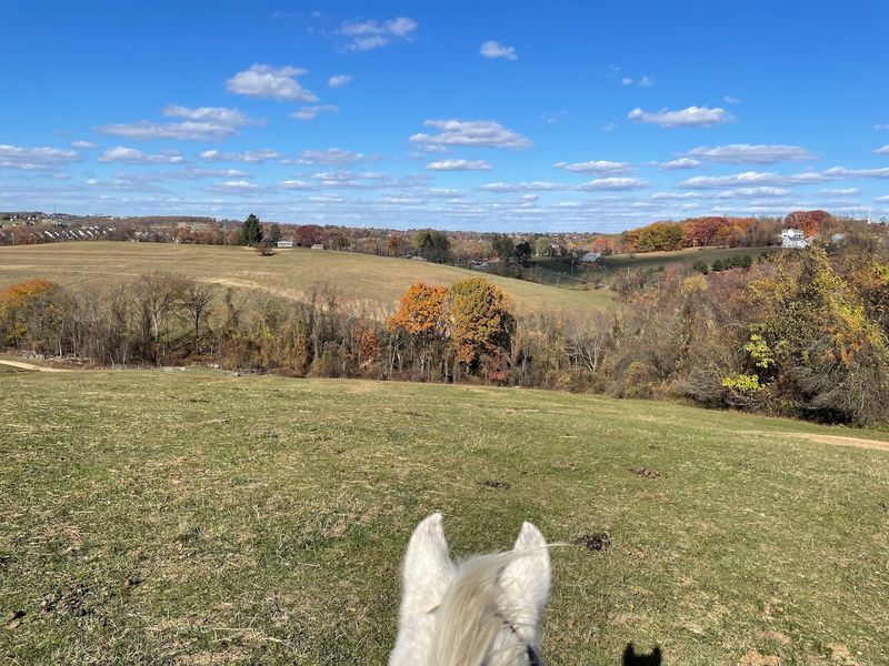 Rolling Hills Ranch &mdash; Bridgeville, Pennsylvania