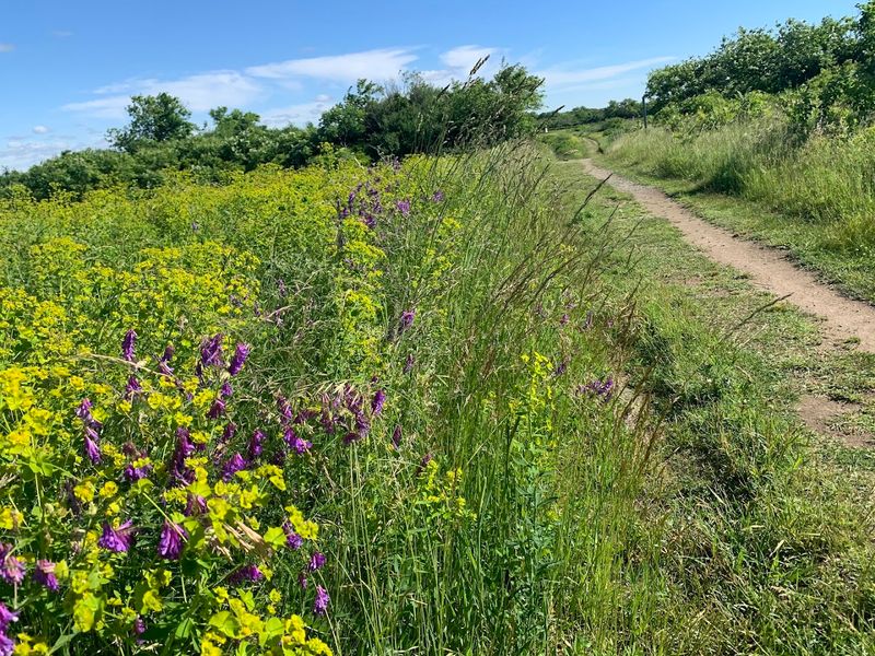 Parker River National Wildlife Refuge (adjacent riding areas) 