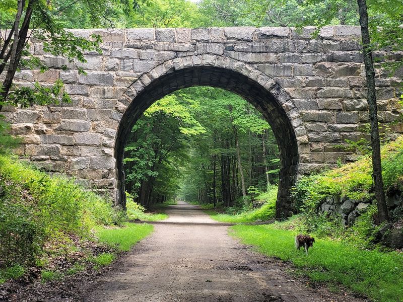 Douglas State Forest