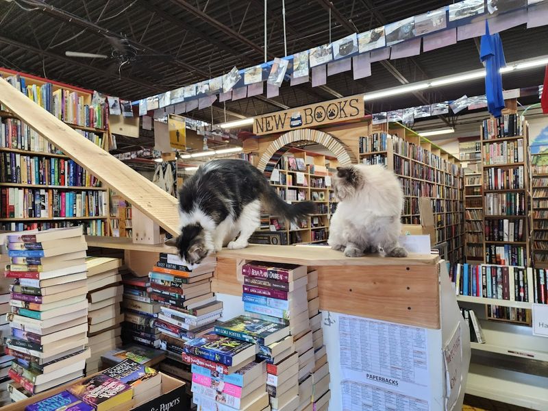 Cupboard Maker Books - Author Signings and Book Clubs
