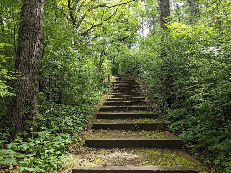 Waterloo Recreation Area, Chelsea, Washtenaw County