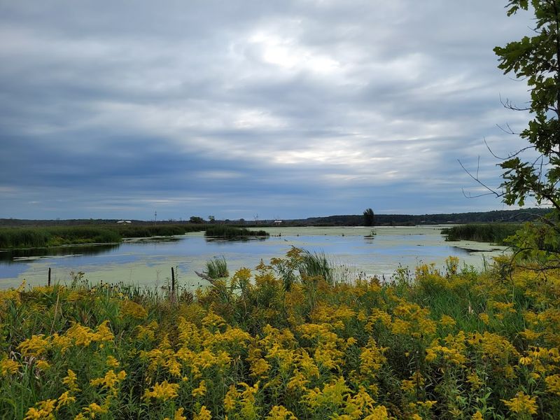 Hart-Montague Trail State Park