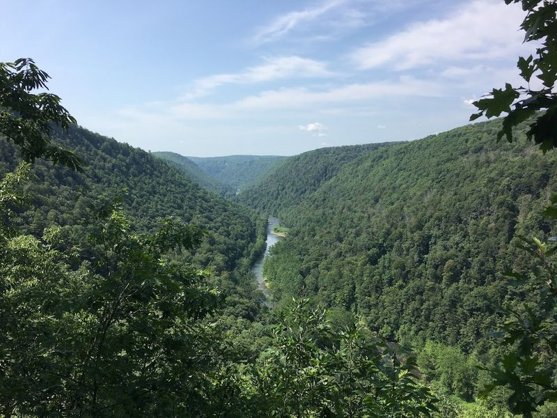 Pine Creek Gorge 