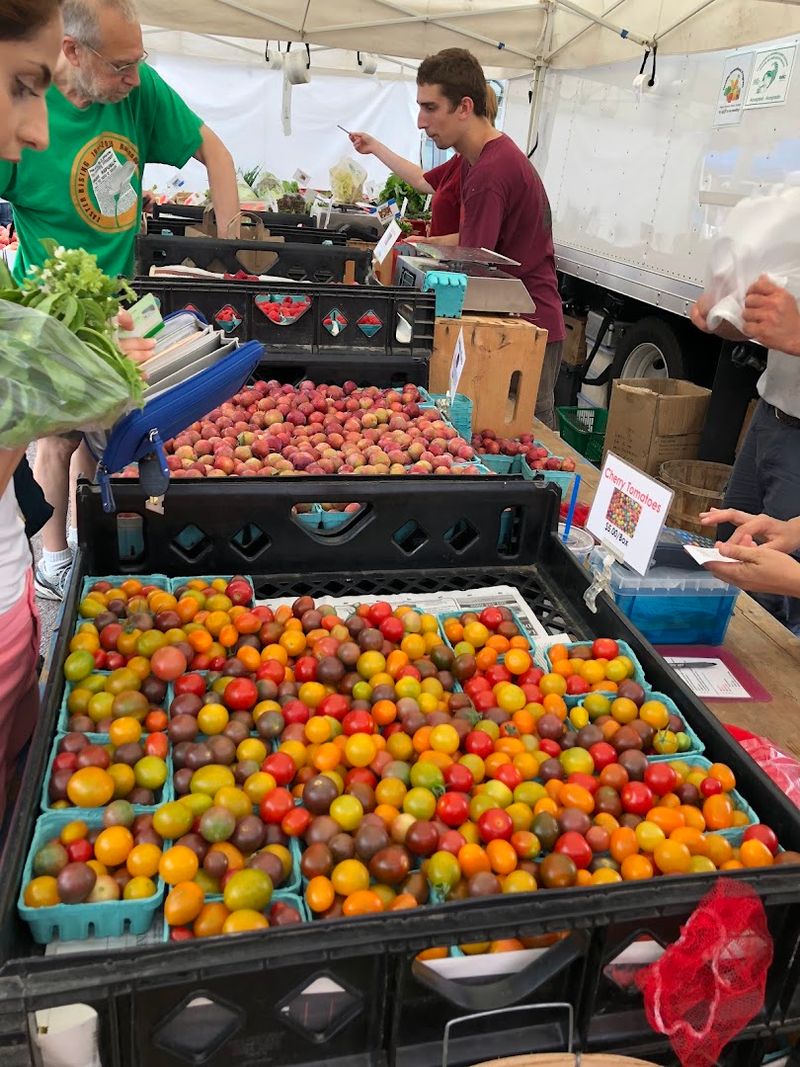 Davis Square Farmers Market