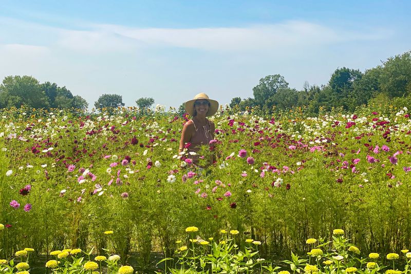 Homecamp Flower Farm