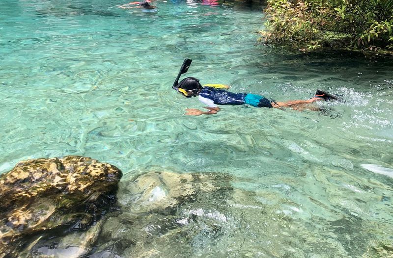 Paddling and Seasonal Tours