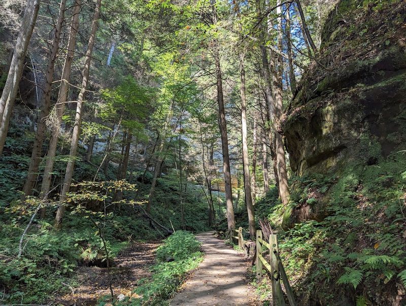 Conkle's Hollow State Nature Preserve Rim Trail 