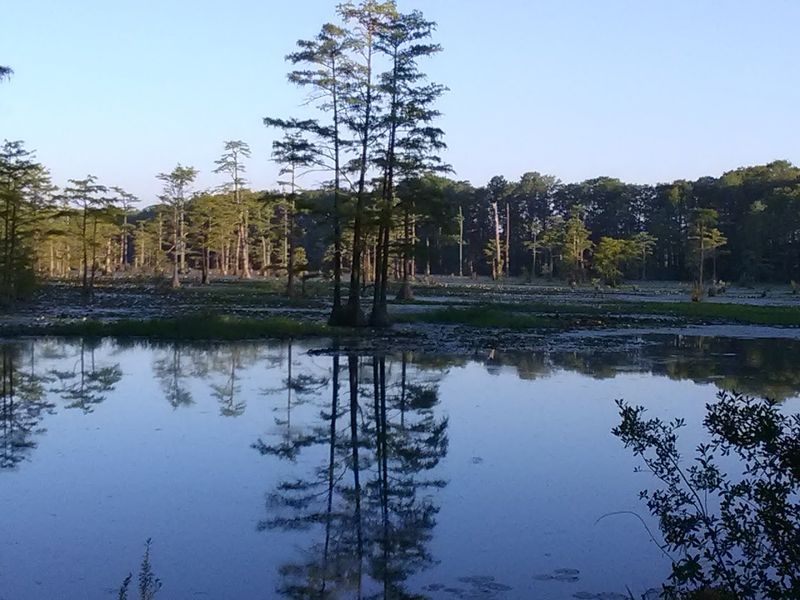 Red Springs &ndash; Red Springs