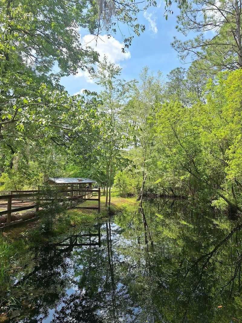 Okefenokee Swamp Park (Waycross)