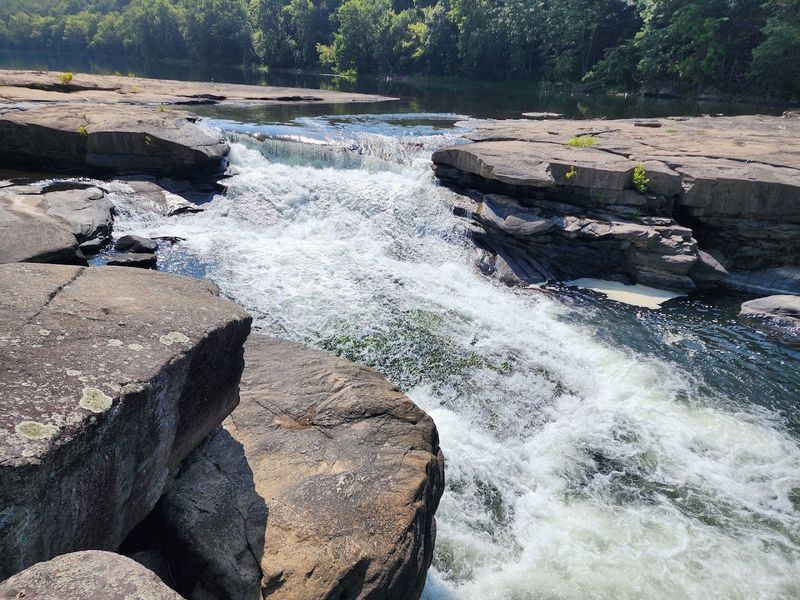 The Close Up Experience Near The Creek