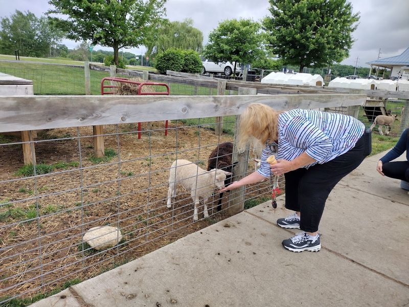 Moo-Ville Dairy Farm (Nashville)