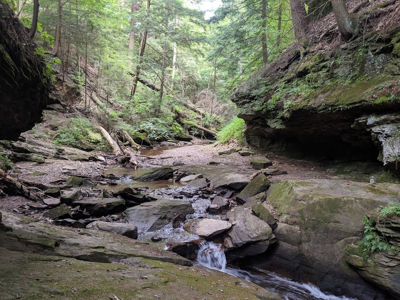 McConnells Mill State Park & Slippery Rock Gorge