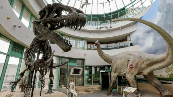 Hidden Cultural Gems And Rare Collections Across 10 North Carolina&rsquo;s Museums
